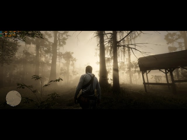 Volumetric light through morning fog and trees in RDR2